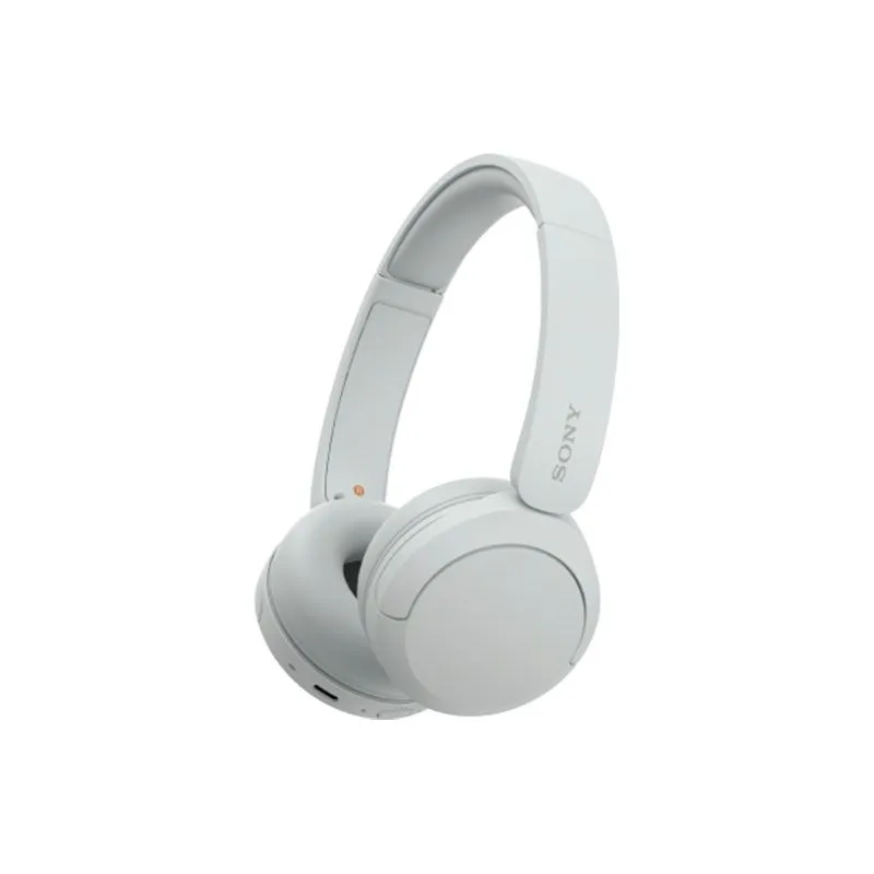 Sony WH-CH520 Overhead Headphone