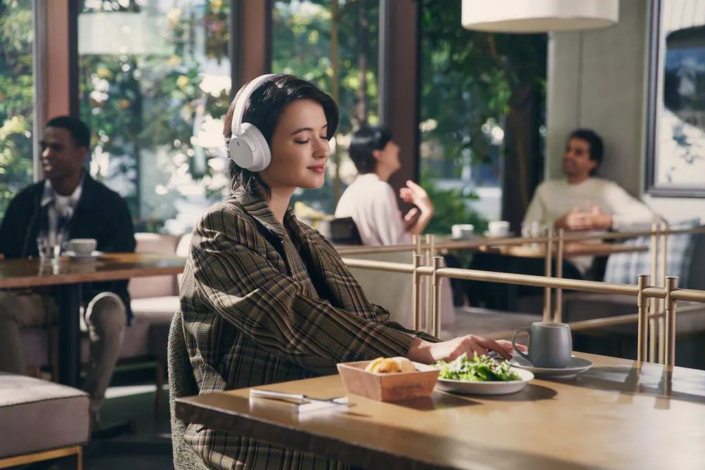 Sony WH-CH520 Overhead Headphone