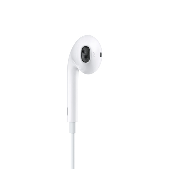 Apple Type C Earphone for iPhone 15