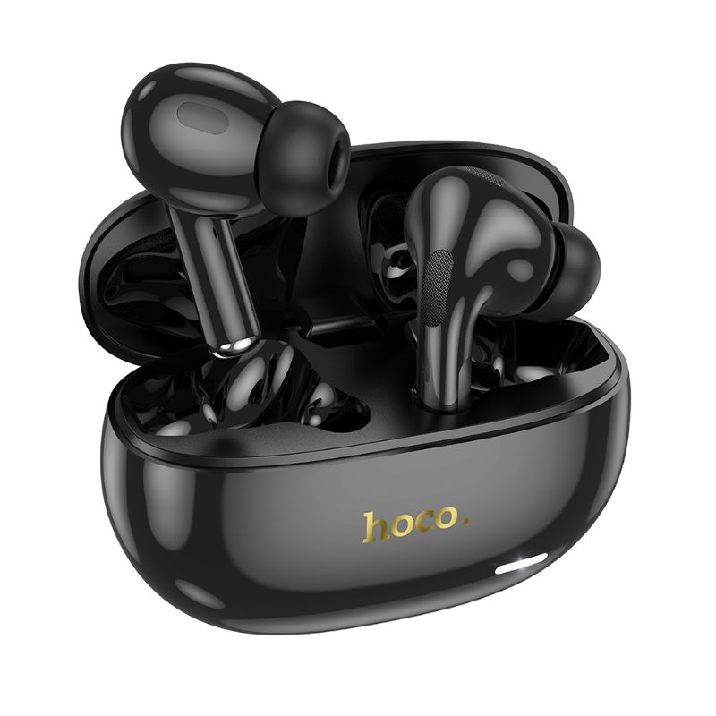 Hoco EW60 Plus ANC Earbuds Hoco EW60 Plus ANC Earbuds