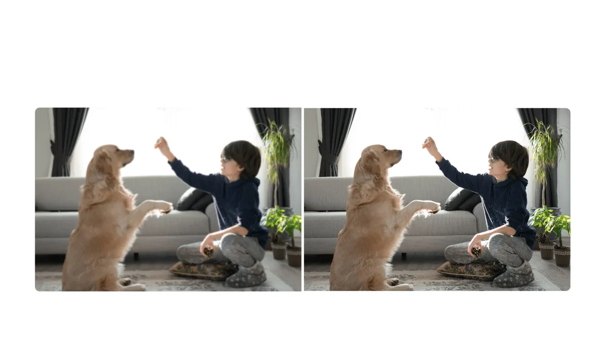 Xiaomi Smart Camera C301 2K 360°