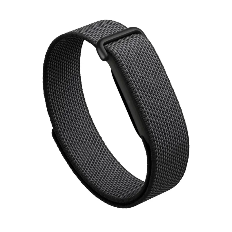 Google Fitbit Air Fitness Tracker Google Fitbit Air Fitness Tracker