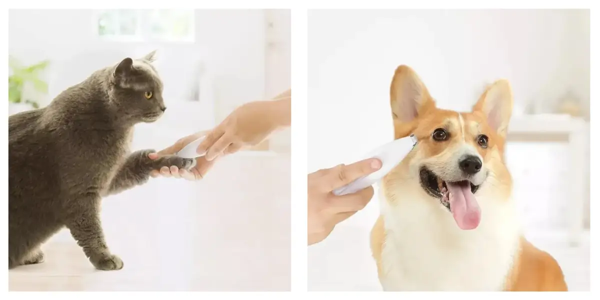 pawbby-trimmer-paw-pad-grooming-lifestyle.webp pawbby-trimmer-paw-pad-grooming-lifestyle.webp