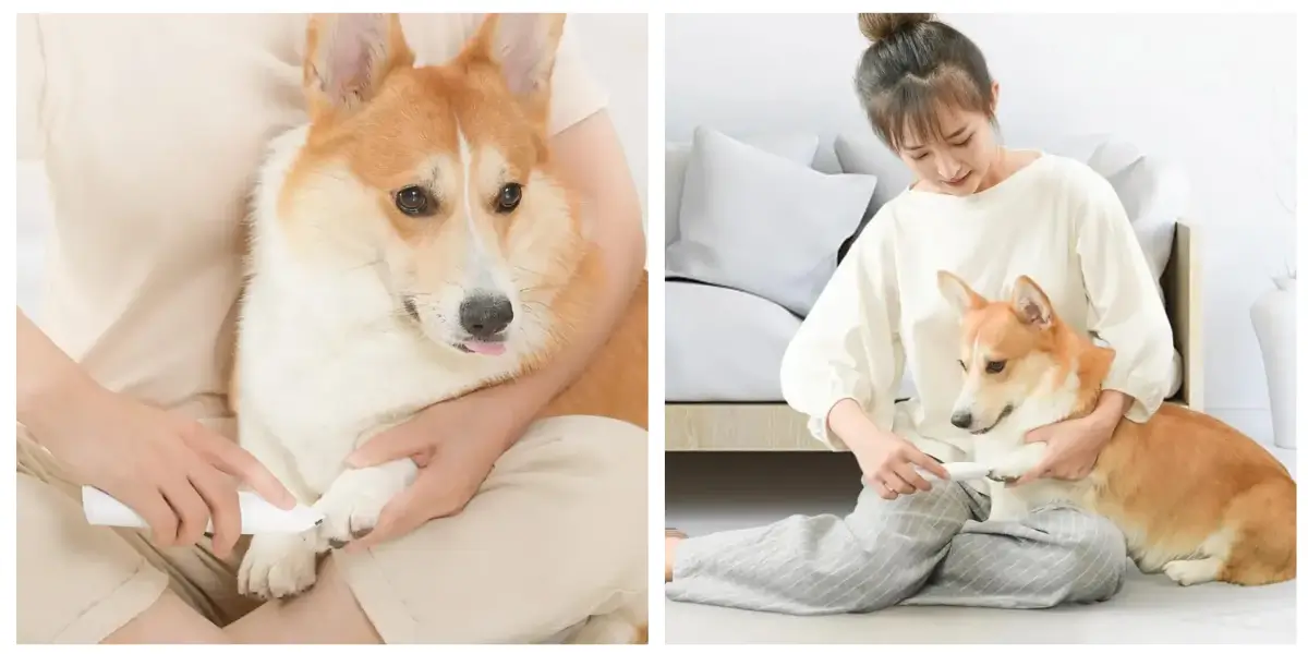 pawbby-pet-trimmer-slim-body-detail..webp pawbby-pet-trimmer-slim-body-detail..webp