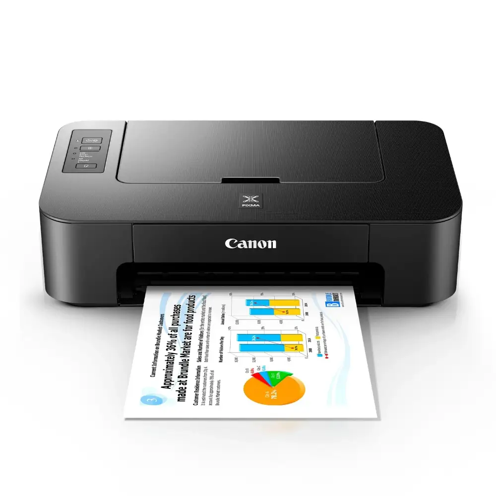 Canon Pixma TS207 Dpi Printing