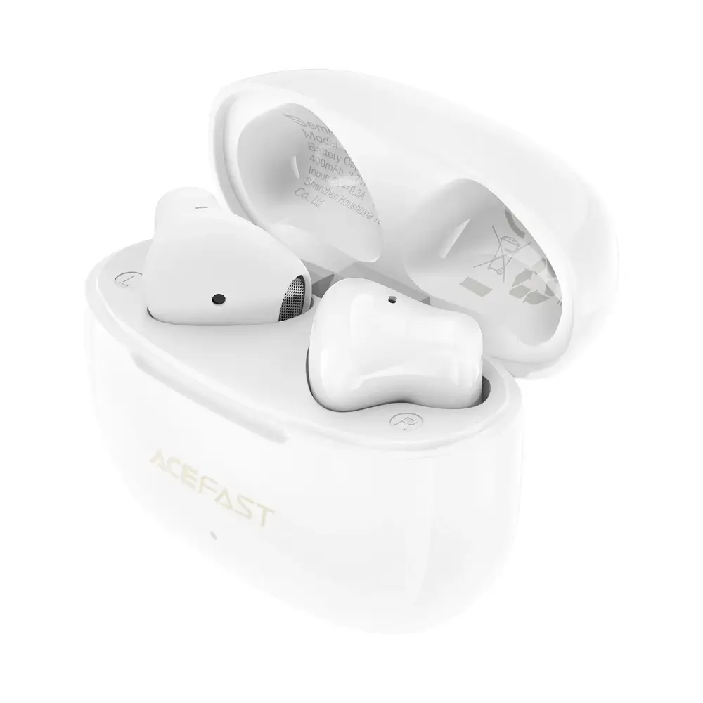 Acefast W11 Earbuds Size Comparison Case